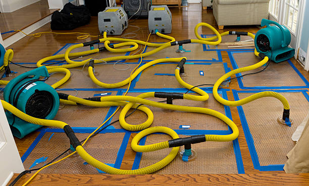 Professional Crawl Space Water Removal technician working in Sunset Beach, CA